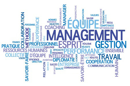 Formation, évolution et performance