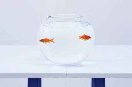 Une solution commune